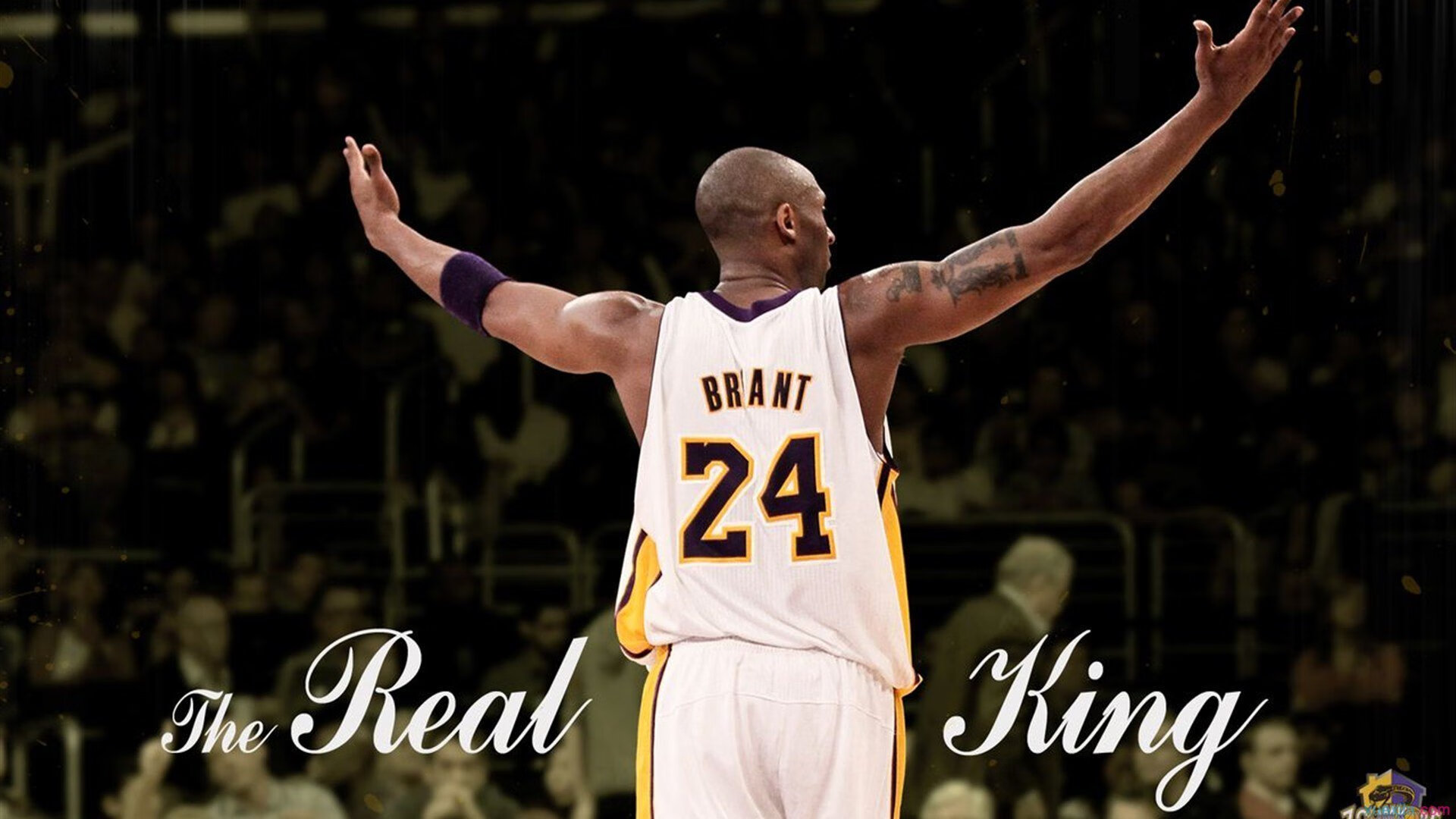 北欧铁骑破韩流，桃田贤斗再铸传奇—羽坛双星耀映时代变奏